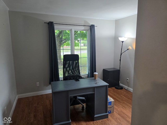 office space featuring ornamental molding and dark wood-type flooring