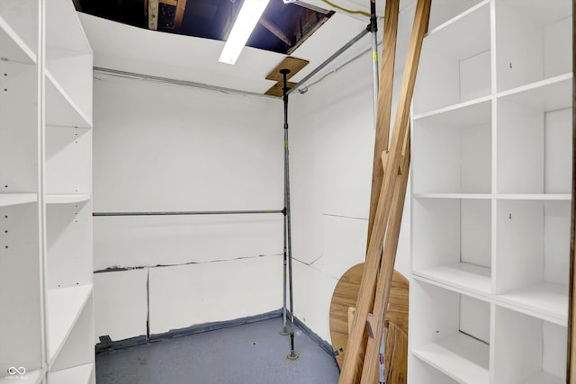 view of spacious closet