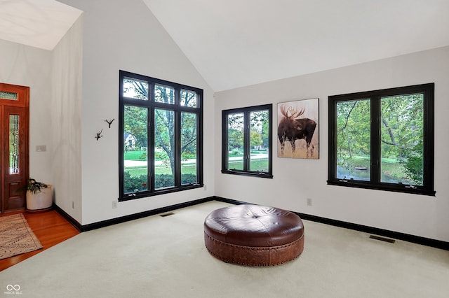 living area featuring hardwood / wood-style flooring and high vaulted ceiling