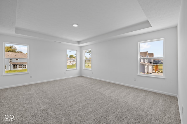 spare room with a wealth of natural light and a raised ceiling