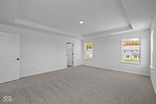 unfurnished room featuring a raised ceiling, carpet flooring, and a wealth of natural light