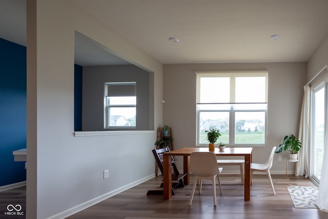 dining room featuring wood-type flooring and a wealth of natural light