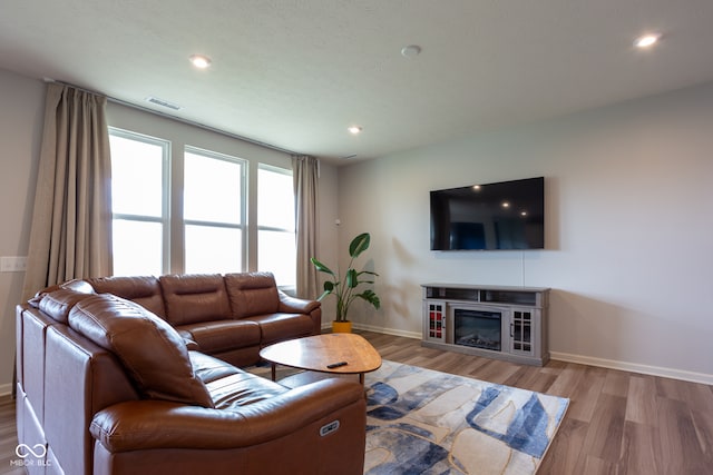 living room featuring hardwood / wood-style floors