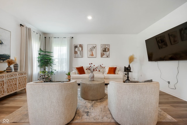 living room featuring hardwood / wood-style floors