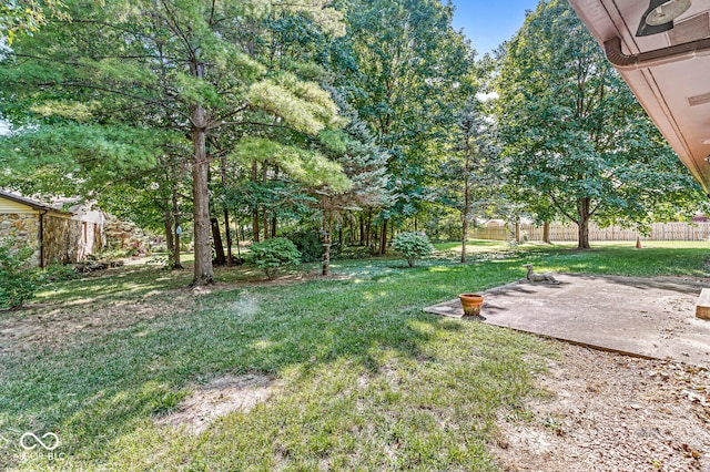 view of yard with a patio area