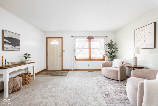 sitting room with carpet floors