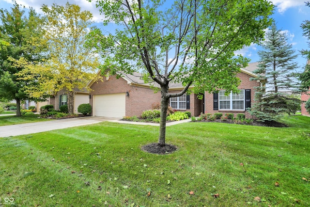 view of front facade with a front lawn and a garage