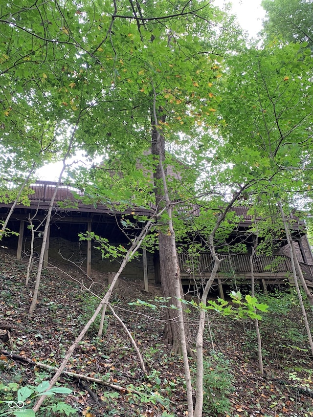 466 Sycamore Ridge Ct, Avon, IN 46123 - view of local wilderness