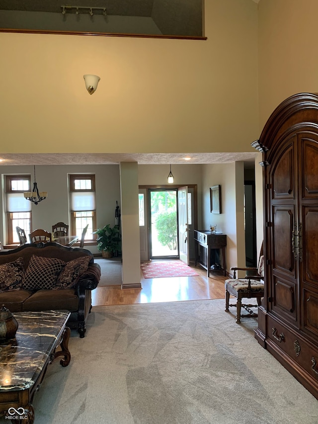 entryway featuring rail lighting and high vaulted ceiling