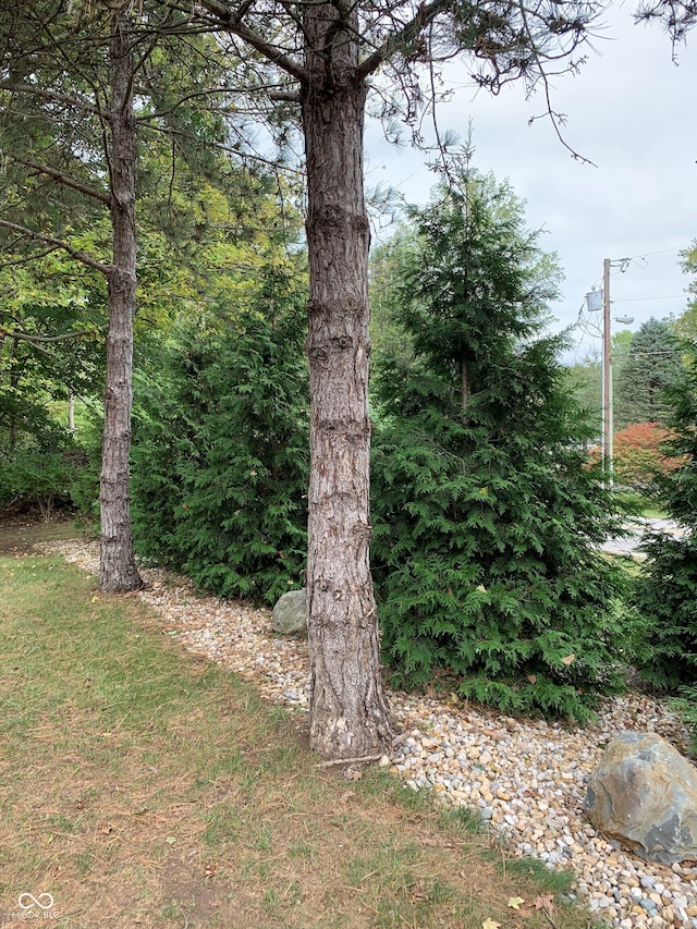 466 Sycamore Ridge Ct, Avon, IN 46123 - view of local wilderness