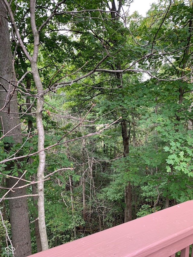 466 Sycamore Ridge Ct, Avon, IN 46123 - view of tree filled area