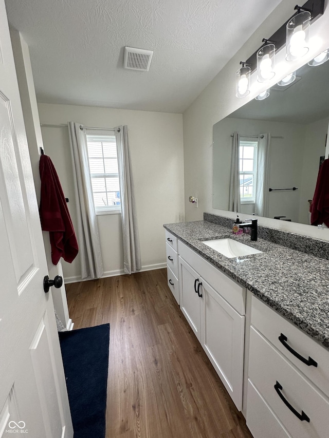 bathroom with visible vents, wood finished floors, a wealth of natural light, and vanity