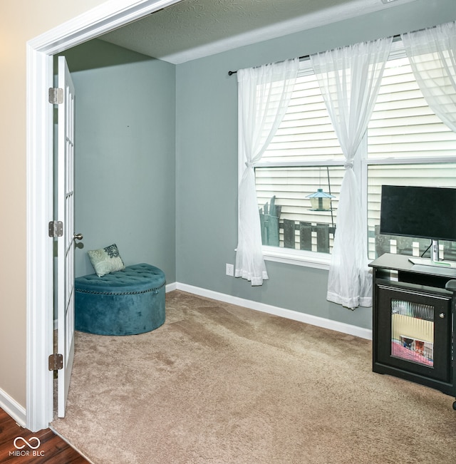 living area with carpet flooring and a textured ceiling