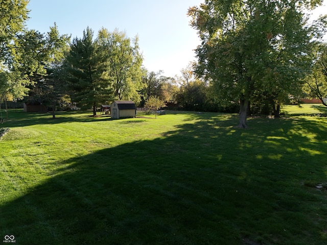 view of yard featuring a shed