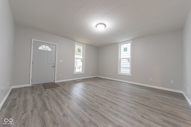 foyer featuring a textured ceiling, wood-type flooring, and plenty of natural light