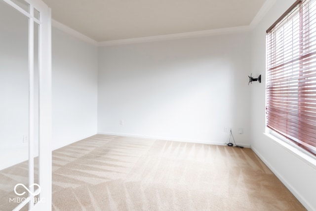 empty room with light colored carpet and crown molding