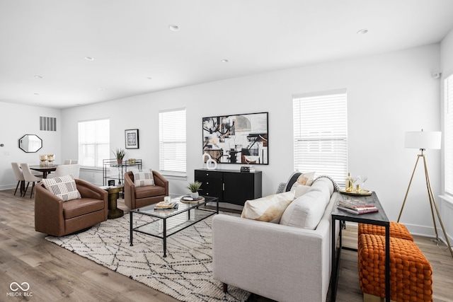 living room with hardwood / wood-style flooring