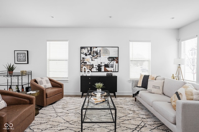 living room with hardwood / wood-style floors