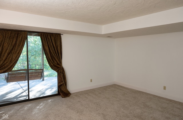 spare room with a textured ceiling and carpet flooring