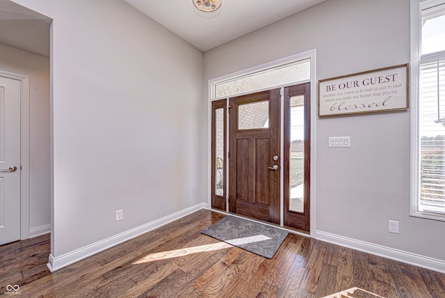 foyer featuring dark wood-type flooring