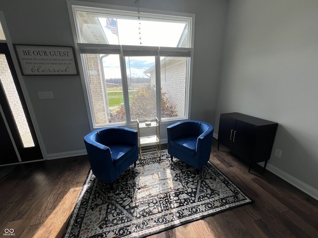 living area featuring dark hardwood / wood-style flooring