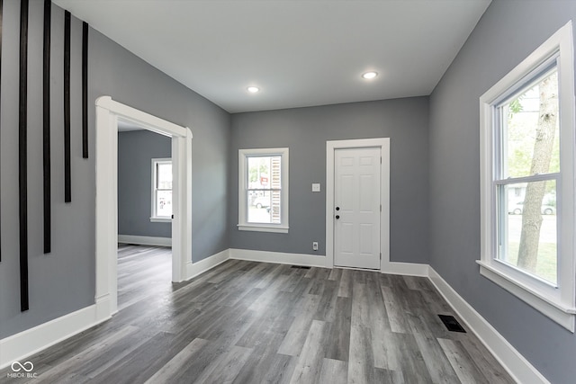 foyer entrance featuring hardwood / wood-style flooring and a healthy amount of sunlight