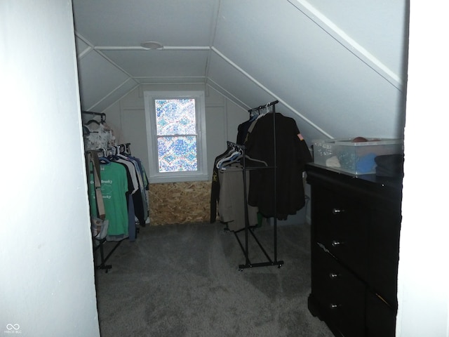 spacious closet with lofted ceiling and carpet