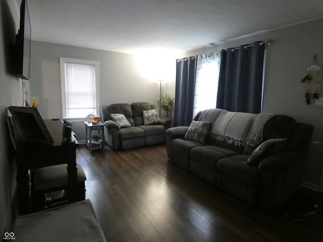 living room featuring dark hardwood / wood-style floors