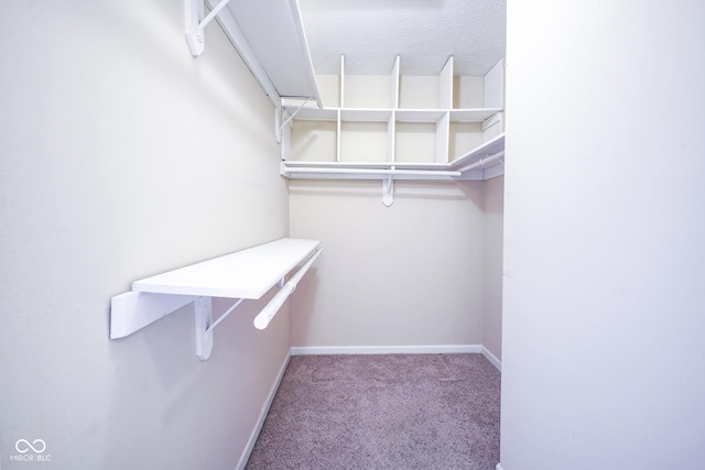 spacious closet with carpet