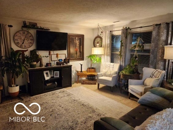 carpeted living room with a textured ceiling