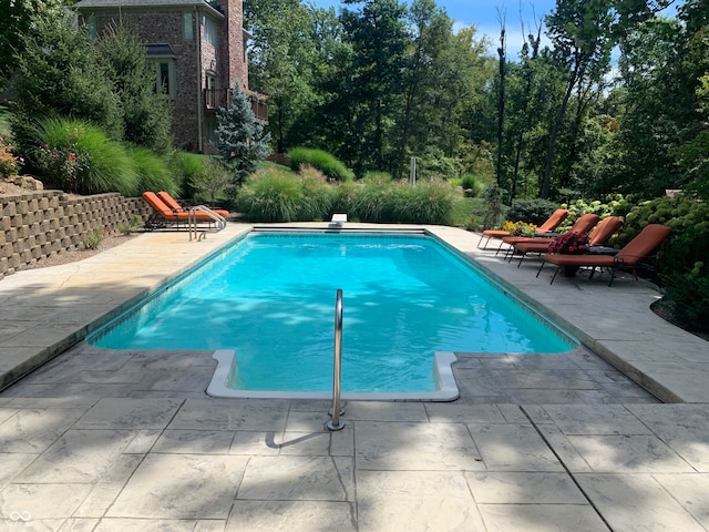 view of swimming pool featuring a patio