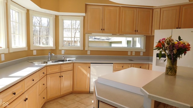 10781 Cedar Ridge Ln, Brownsburg, IN 46278 - kitchen featuring dishwasher, light countertops, a sink, and light brown cabinetry