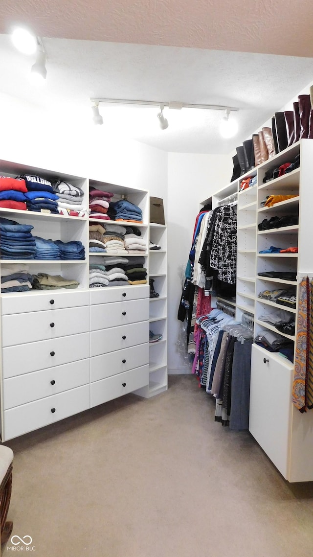 10781 Cedar Ridge Ln, Brownsburg, IN 46278 - spacious closet with light carpet