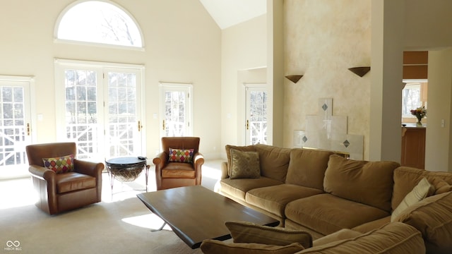 carpeted living room with high vaulted ceiling