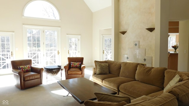 10781 Cedar Ridge Ln, Brownsburg, IN 46278 - carpeted living area with a wealth of natural light and high vaulted ceiling