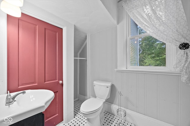 bathroom with wooden walls, vanity, and toilet