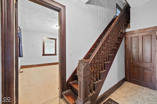 staircase featuring carpet floors