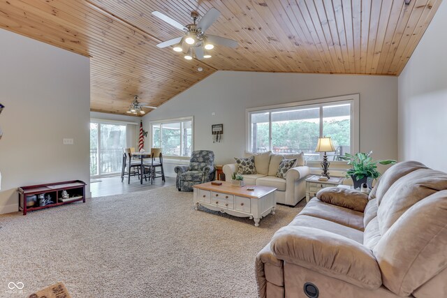 carpeted living room with wooden ceiling, lofted ceiling, and ceiling fan