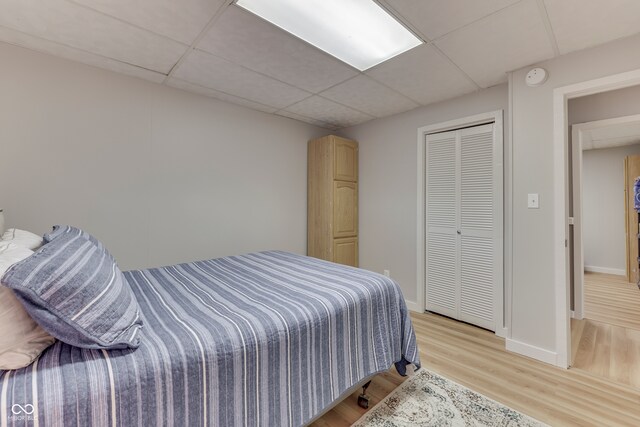 bedroom featuring light hardwood / wood-style flooring, a closet, and a drop ceiling