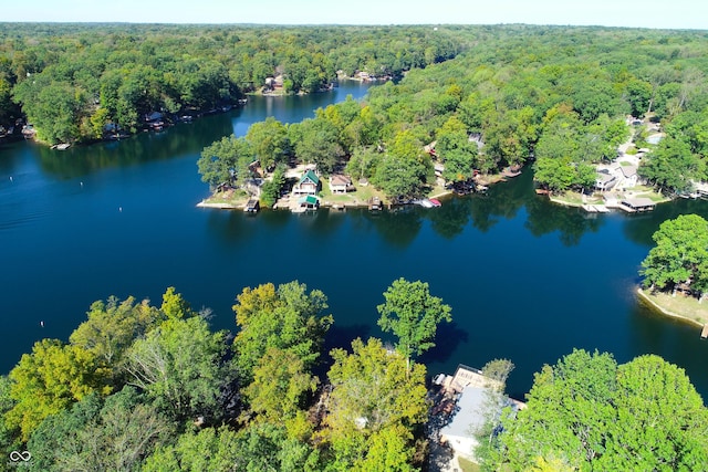 7438 Haw Dr, Nineveh, IN 46164 - birds eye view of property with a wooded view and a water view
