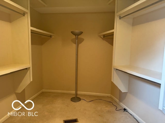 spacious closet featuring light carpet