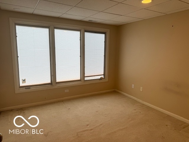 empty room featuring a drop ceiling and carpet