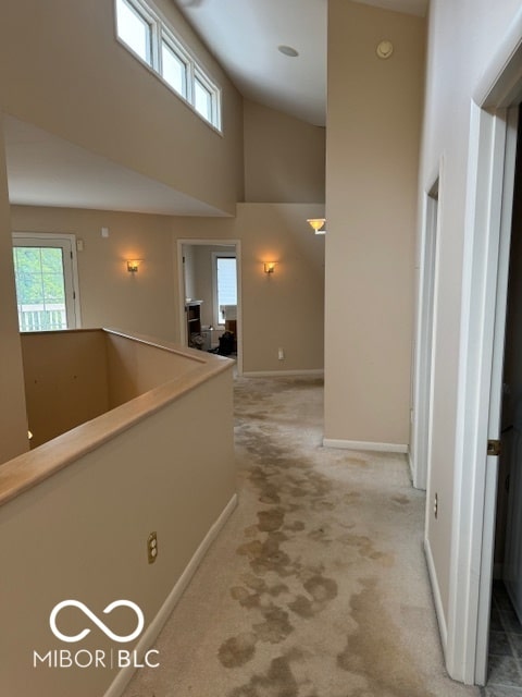 hall featuring carpet and high vaulted ceiling