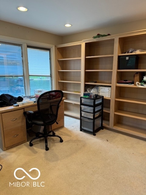 home office featuring light colored carpet