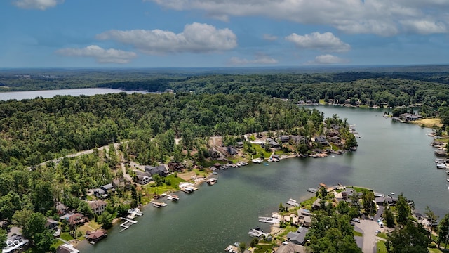 4161 S Summit Ln, Columbus, IN 47201 - aerial view of residential area featuring a forest and a large body of water