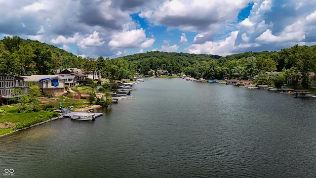 4161 S Summit Ln, Columbus, IN 47201 - water view with a dock and a heavily wooded area
