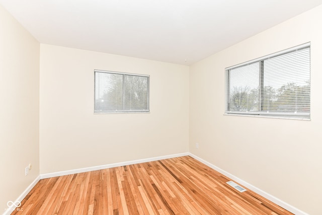 spare room featuring wood-type flooring