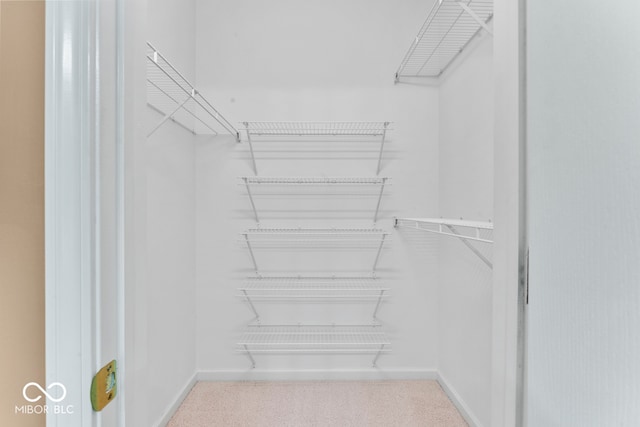 walk in closet with light colored carpet