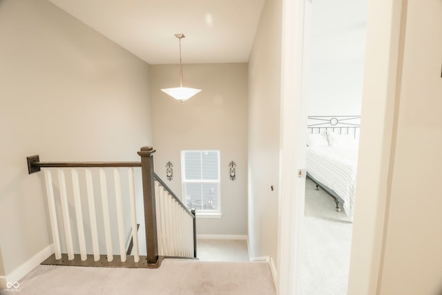 stairway featuring carpet