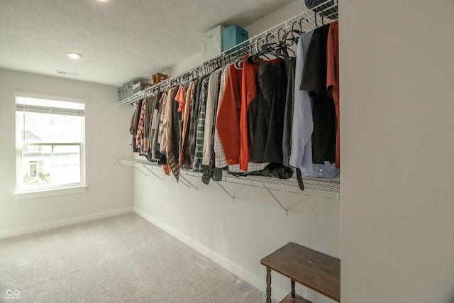 spacious closet with carpet floors